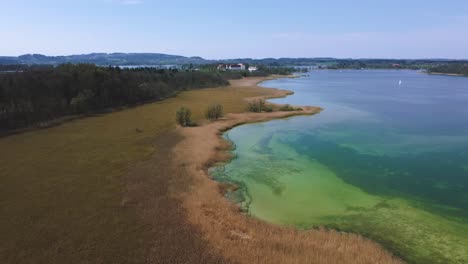 Scenic-4K-flight-above-Bavaria's-famous-lake-Chiemsee-in-the-rural-countryside-with-a-beautiful-blue-sky,-clear-blue-and-green-water,-reed-and-the-alps-mountains-in-the-background-on-a-sunny-day