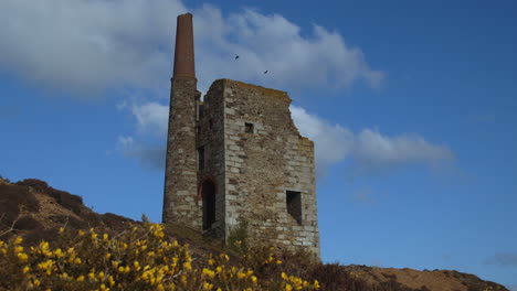 Auf-Der-Suche-Nach-Tywarnhayle-Mine-Engine-House-In-Cornwall-über-Frühlingsheide