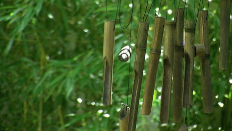 Bambus-Windspiele-Hängen-Vor-Dem-Hintergrund-Wachsender-Bambuspflanzen