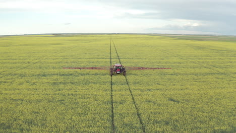 Agricultural-Tractor-Working-On-Canola-Field-Spraying-Fungicide-At-Rural-Plantation-In-Canada
