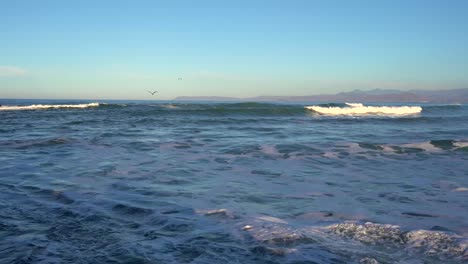 Seabirds-Flying-Over-Waves-In-The-Ocean-In-California