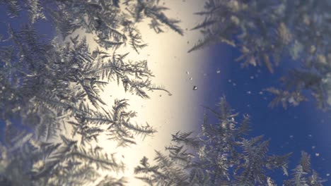 Window-covered-with-fern-frost.-Macro,-dolly-left