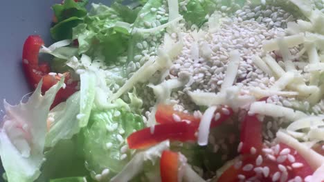 Gesunder-Grüner-Salat,-Blattmischsalat