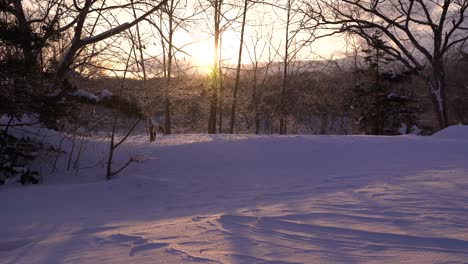 Early-morning-nature-scenery-with-rising-sun-and-snow-inside-forest