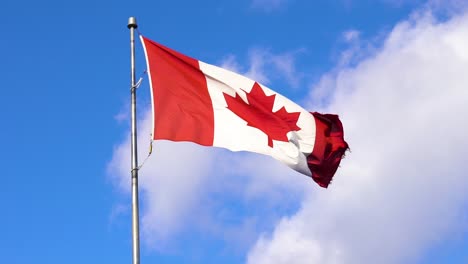 Kanadische-Flagge-Weht-Im-Wind-Mit-Blauem-Himmel-Und-Wolken
