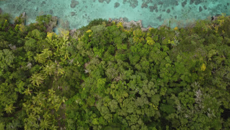 Beautiful-New-Caledonia-tropical-island-coastline,-Lifou-Island,-aerial-top-down