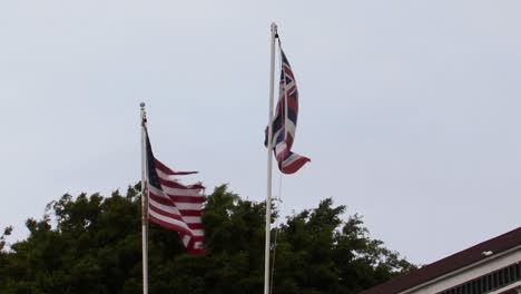 Flaggen-Von-Hawaii-Und-Den-USA