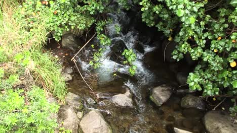 Mountain-Stream-Flows-Down-Among-Stones,-Iao-Valley-State-Park,West-Maui-Mountains
