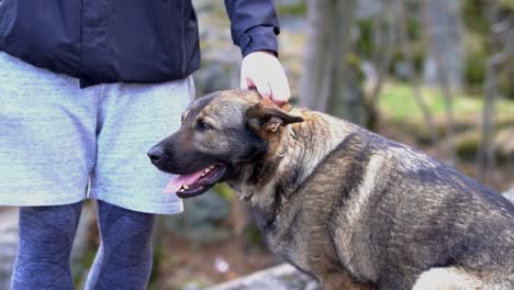 Master-petting-his-German-Shepherd-dog-outdoors,-SLOMO