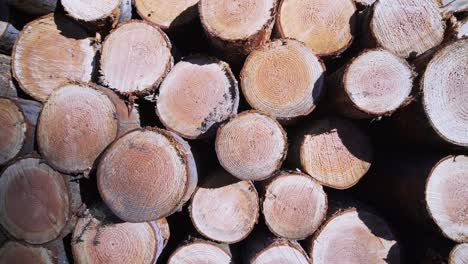Close-up-of-stacked-logs-in-a-heap,-zooming-in,-bright-real-time-shot,-texture-background