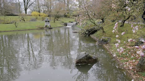 Pond-in-Hasselt-Japanese-Garden-in-Belgium,-static-wide-shot