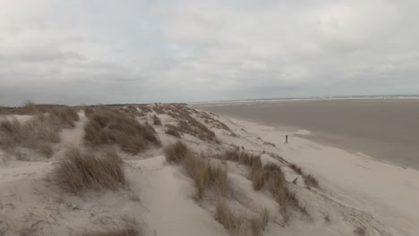 Vorgelagerte-Grasbewachsene-Dünen-Am-Strand-Der-Insel-Texel-In-Nordholland,-Niederlande