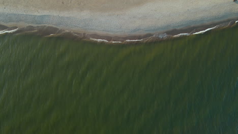 Aerial-top-down-of-green-baltic-sea,less-people-on-sandy-beach-and-grass-dunes-during-sunlight
