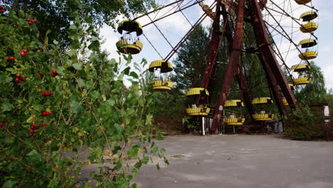 Red-berries-and-abandoned-Ferris-wheel-in-Pripyat-amusement-park,-pan-right