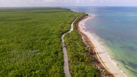 Wide-aerial-shot-of-car-driving-along-the-natural-coastline-near-Mahahual-Mexico-with-dense-forest-and-clear-ocean-water