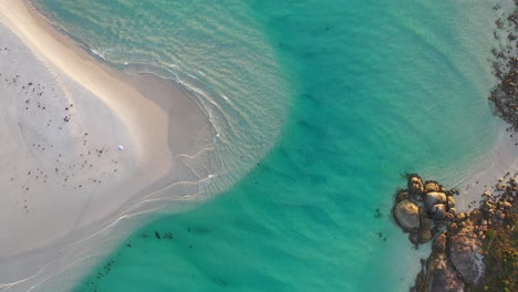 Madfish-Bay,-Coastline-of-Southwestern-Australia,-Birdseye-Aerial-View-of-Sandy-Beach-and-Turquoise-Ocean