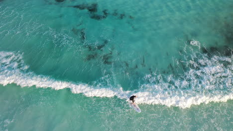 Birdseye-Aerial-View-of-Lonely-Surfer-on-Board-and-Waves-at-Lucky-Bay-Esperance,-Southwester-Australia-Coastline,-Top-Down-Drone-Shot