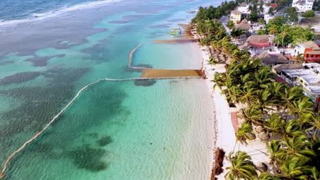 Revealing-drone-shot-of-Sargasso-seaweed-and-effort-to-keep-seaweed-off-the-beach-in-Mahahual-Mexico