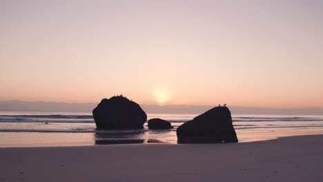 Sunrise-at-Newdicks-Beach-in-New-Zeland-with-seabirds-on-rock-boulders