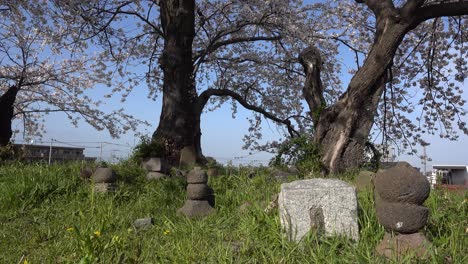 Small-rock-statues-or-tombstones-inside-green-nature-setting-outside
