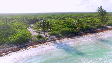 Cinematic-rotating-drone-shot-of-natural-coastline-near-Mahahual-Mexico-into-the-sun