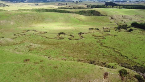 Verfolgen-Sie-Einen-Gewundenen-Strom,-Während-Sie-über-Ackerland-In-Der-Region-Manawatu-In-Neuseeland-Fliegen