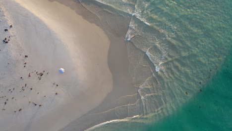 Empty-Sandy-Beach-and-Parasol,-Top-Aerial-View
