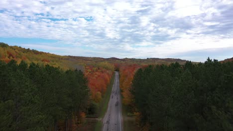 Autumn-drone-of-pines-and-reveal-color