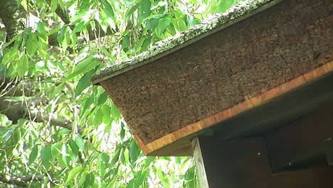 Side-view-of-Japanese-house-roof-showing-hinoki-bark-construction