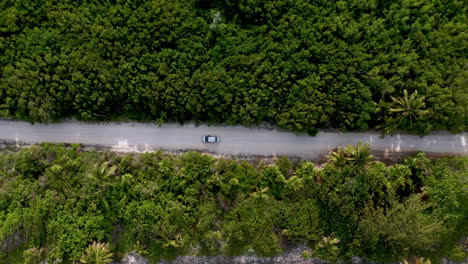 Nach-Unten-Gerichtete-Drohnenaufnahme-Eines-Autos,-Das-In-Der-Nähe-Von-Mahahual-Mexiko-Fährt,-Mit-Dichtem-Tropenwald,-Der-Die-Autobahn-Umgibt