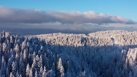 Jahorina-mountain-forest-in-winter-snow,-Bosnia-and-Herzegovina,-4K-aerial-view