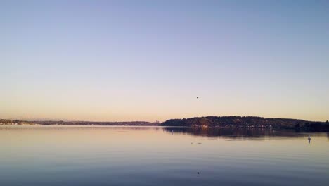 Bird-Flys-Over-Lake-Washington-During-Sunrise-Slow-Motion-still-shot