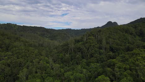 Vista-Panorámica-De-La-Selva-Tropical-Verde-En-El-Valle-De-Currumbin,-Costa-Dorada,-Queensland