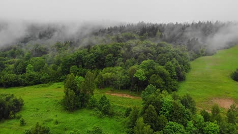 Hill-fog-in-Bieszczady-Mountains,-woods-and-clearings-aerial-view