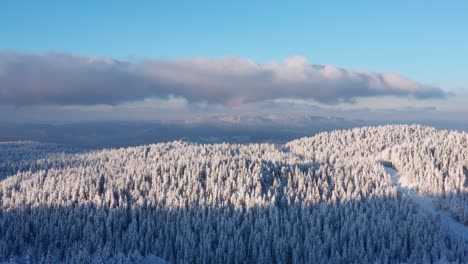 Snow-Covered-Pine-Tree-Forest,-Mountain-Jahorina-Near-The-Sarajevo-City,-Bosnia-and-Herzegovina---aerial-shot