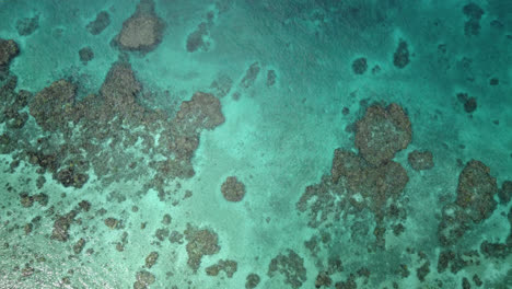 New-Caledonia-tropical-island,-turquoise-coral-reef,-4K-aerial-top-down
