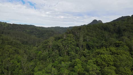 Luftaufnahme-Des-Grünen-Regenwaldes-In-Der-Nähe-Des-Currumbin-Valley-In-Australien