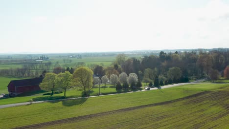 Antenne-über-Dem-Grünen-Feld-Im-Frühjahr