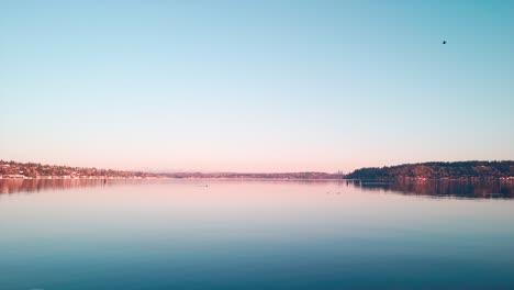 Bird-Lands-In-Lake-Washington-State-During-Sunrise-Still-Shot