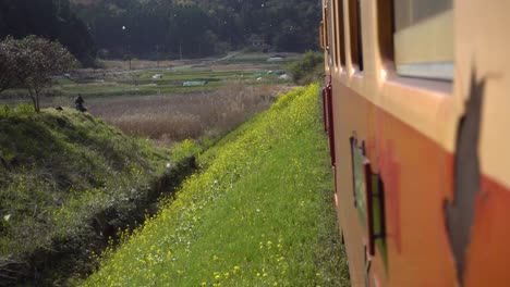 POV-looking-out-of-riding-train-in-beautiful-countryside