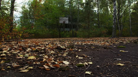 Urban-überwuchert-Außerhalb-Des-Basketballplatzes-In-Pripyat,-Ansicht-Verkleinern