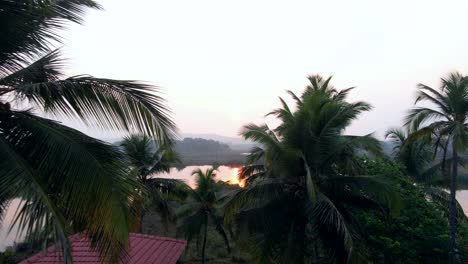 goa-divar-island-drone-passing-from-coconut-trees-vaction-Mercure-Goa-Devaaya-