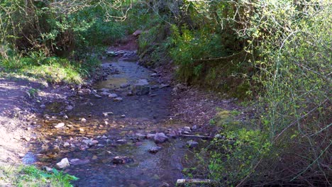 4k-Agua-Que-Fluye-Hacia-Abajo-En-Un-Pequeño-Arroyo-En-Medio-De-Los-Grandes-Bosques-En-Las-Colinas-Quantock-Somerset-Englang