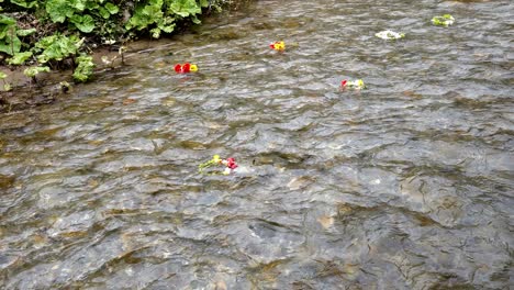 Sad-sense-of-loss-as-flower-garlands-float-helpless-down-river