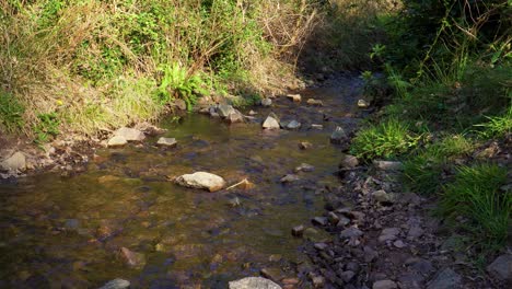 4K-water-flowing-down-in-a-small-creek-in-the-middle-of-the-great-woods-in-the-quantock-hills-somerset-englang