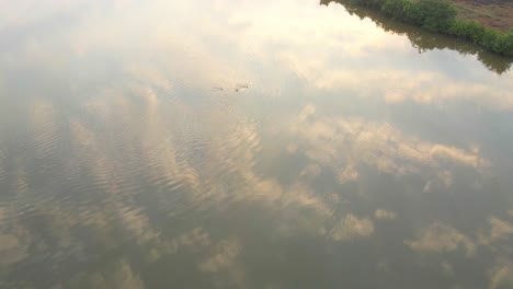 Goa-Divar-Island-Drone-Vorbei-Von-Kokospalmen-Urlaub-Mercure-Goa-Devaaya-Reflexion-Des-Morgenhimmels-Und-Der-Wolken-Im-Stillen-Wasser-Flusssee-Durch-Drohne-Indien-Goa