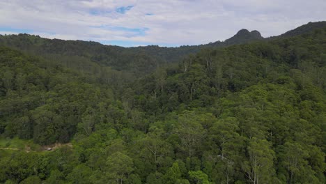 Luftaufnahme-Der-Grünen-Wildnis-Des-Regenwaldlebensraums-Im-Australischen-Tal-Von-Currumbin