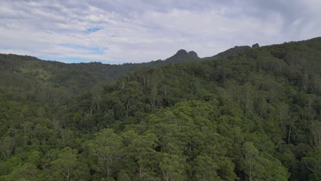 Dense-Rainforest-At-Currumbin-Valley-During-Cloudy-Day-in-Queensland,-Australia