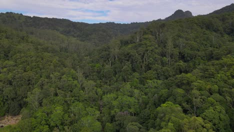 Panorama-De-La-Espesa-Selva-Verde-Del-Valle-De-Currumbin-En-El-Interior-De-La-Costa-Dorada-En-El-Estado-Australiano-De-Queensland
