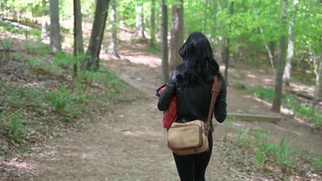 Attractive-young-photographer-woman-walking-down-a-trail-in-the-woods,-taking-photos-and-enjoying-life---gimbal-medium-shot-following-person-from-behind